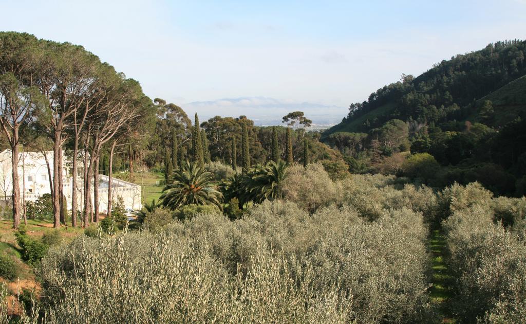 Cascade Manor Hotel Paarl Eksteriør billede